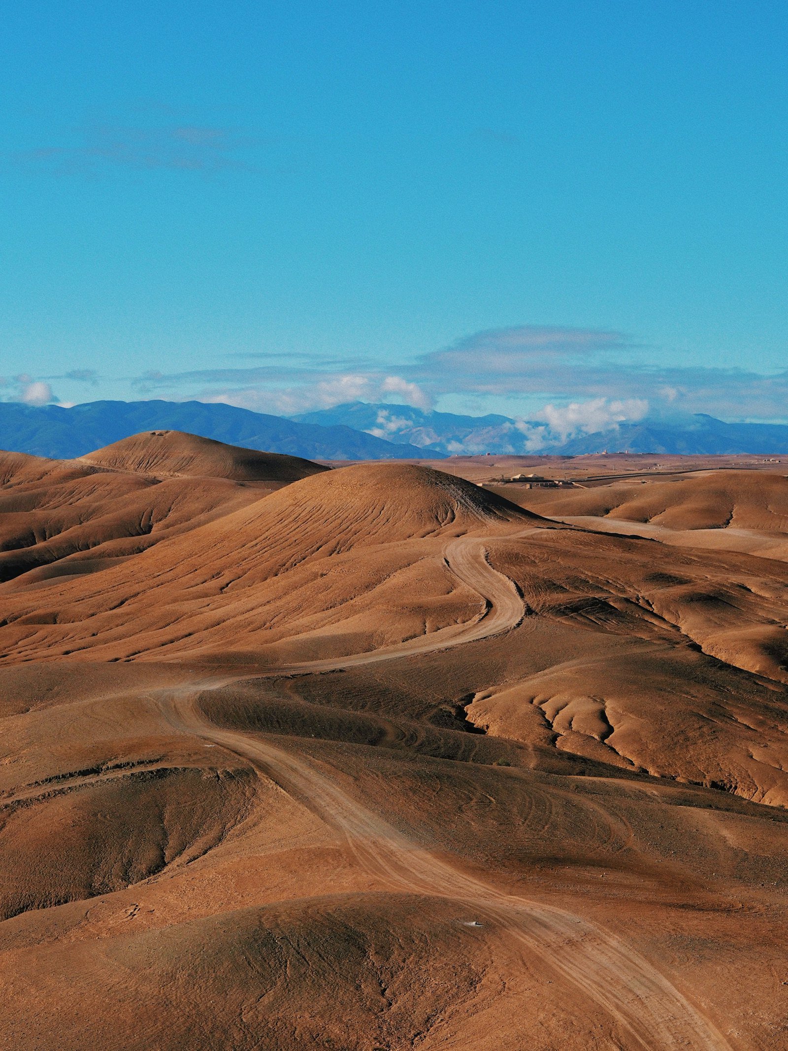 Day Hikes from Marrakech: Explore the Atlas Mountains in a Day