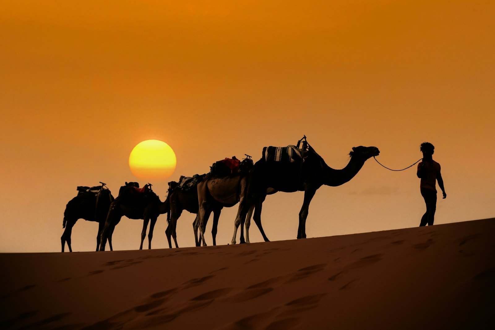 Sahara Desert Trekking in Morocco